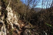 14 Affioramenti di rocce calcaree, di colore bianco e rosato